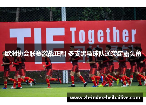 欧洲协会联赛激战正酣 多支黑马球队逆袭崭露头角 欧洲协会联赛激战正酣 多支黑马球队逆袭崭露头角